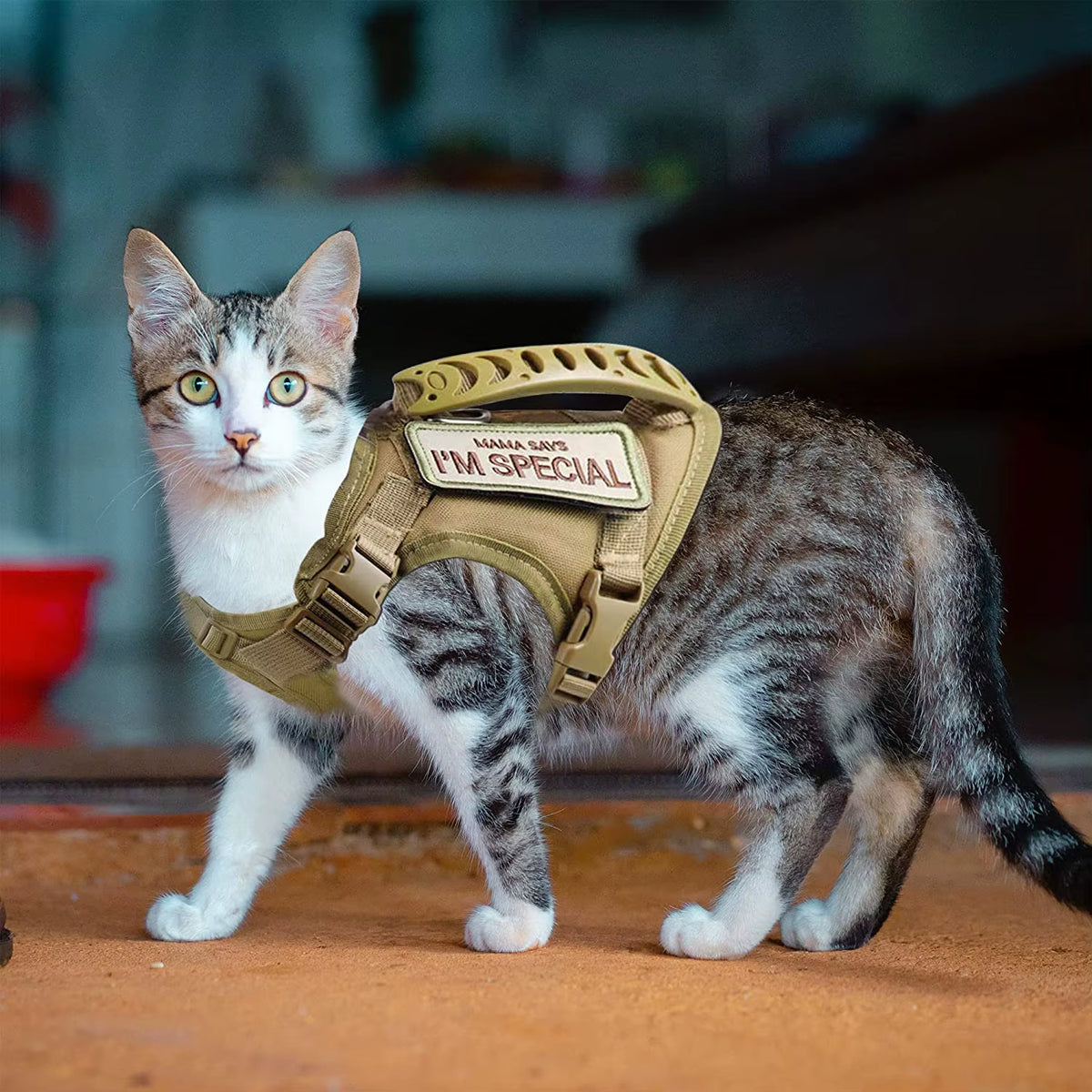 Adjustable Tactical Cat Harness for Walking - Escape-Proof Soft Mesh Vest with Control Handle for Large Cats and Small Dogs